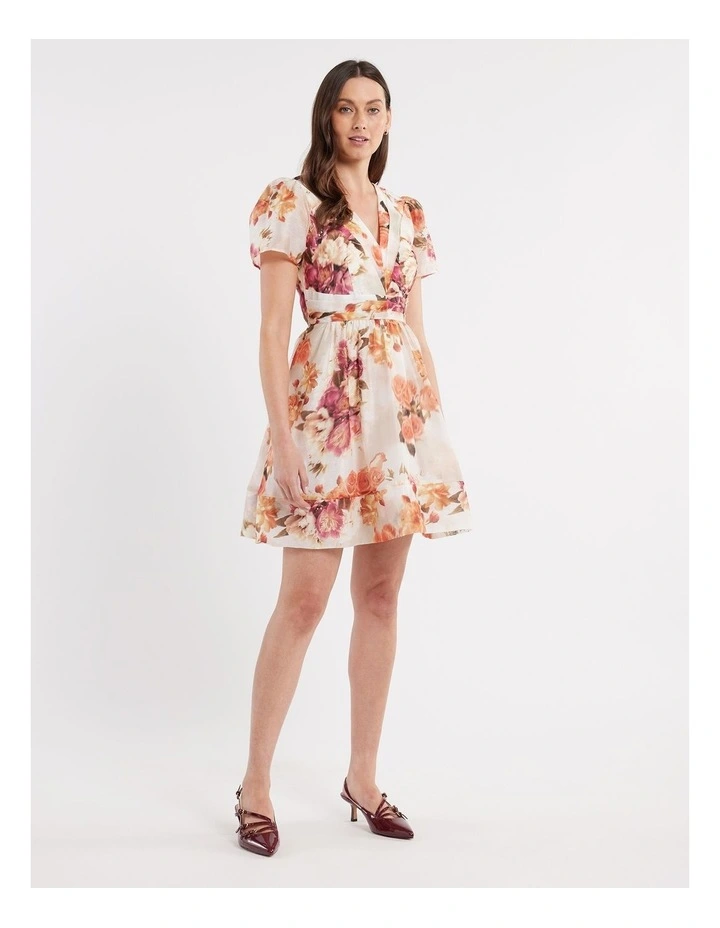 La Vie En Rose Mini Dress in Ivory