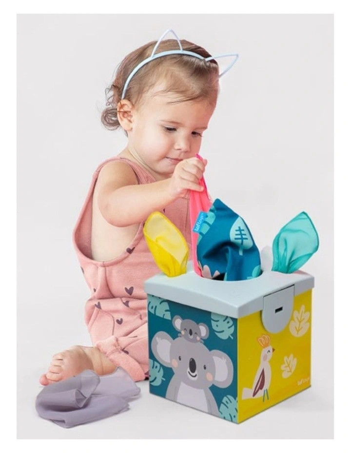 Kimmy Koala Wonder Tissue Box