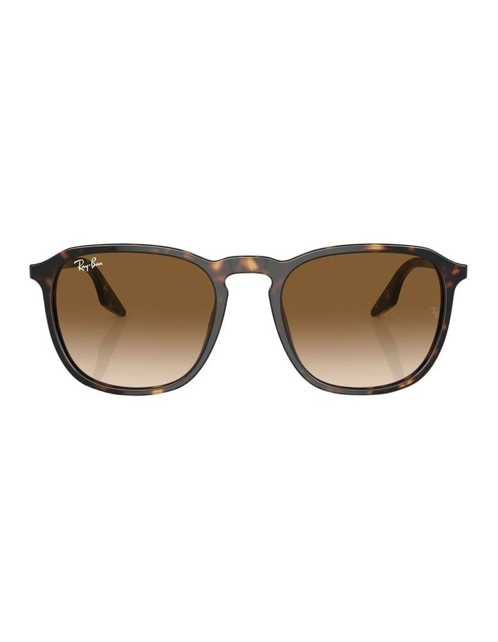 RB2203 Sunglasses in Tortoise