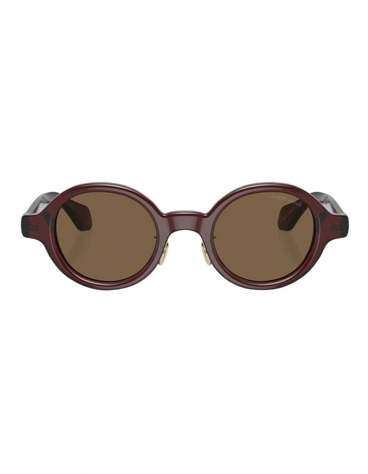AR8205 Sunglasses in Brown