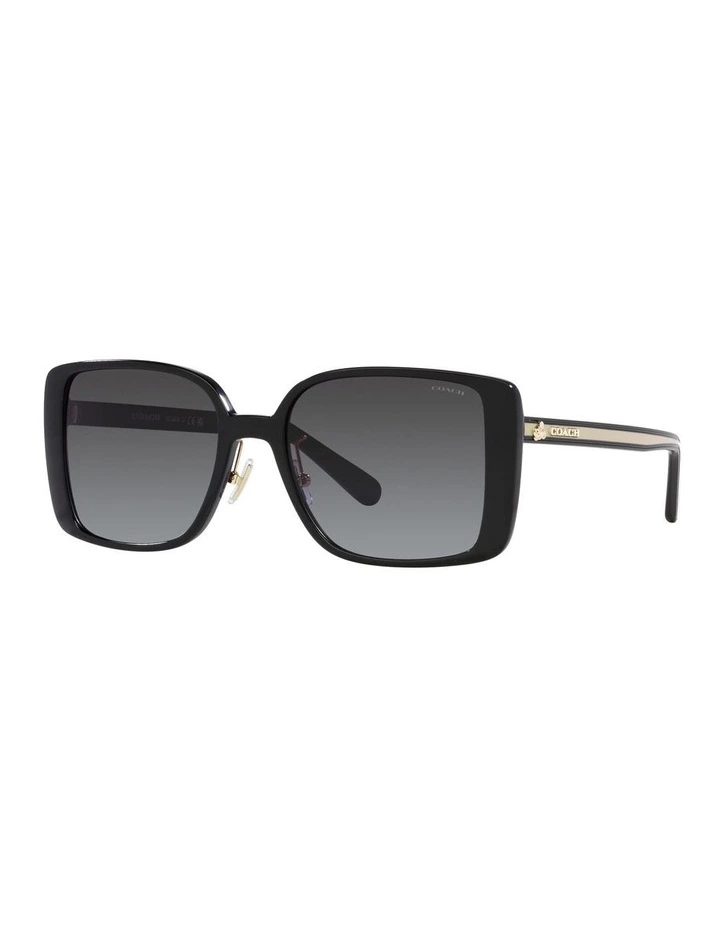 0HC8375 Sunglasses in Black
