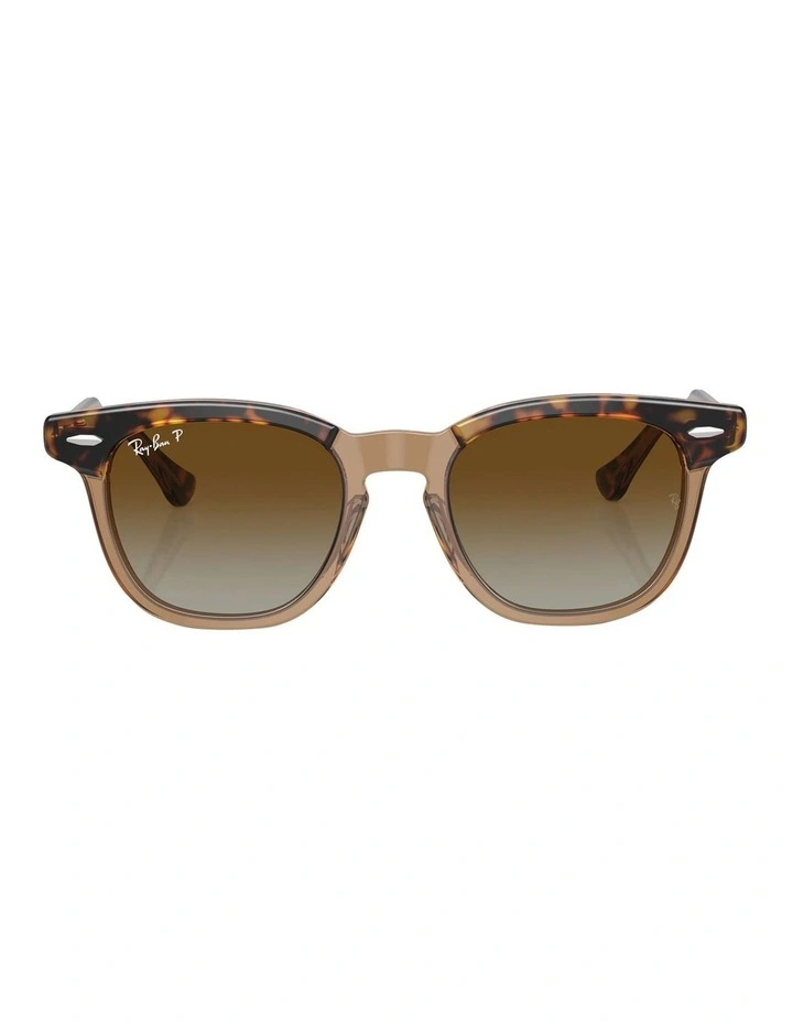 RB9098S Polarised Sunglasses in Brown