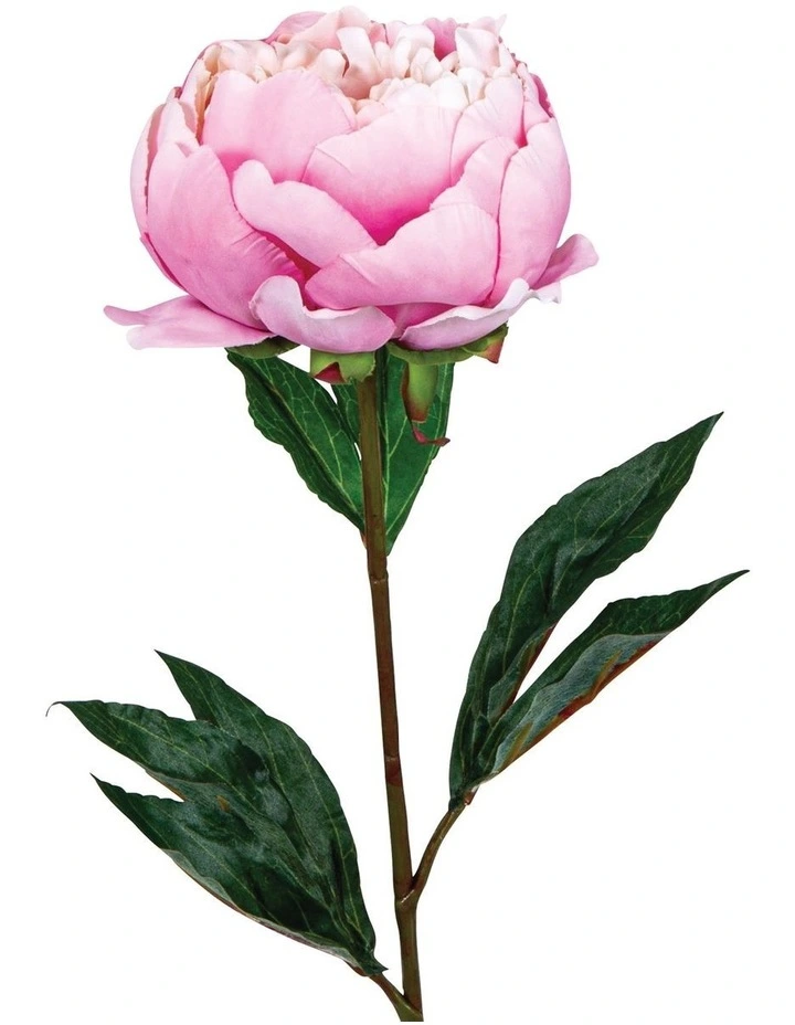 Peony Half Open 70cm in Pink