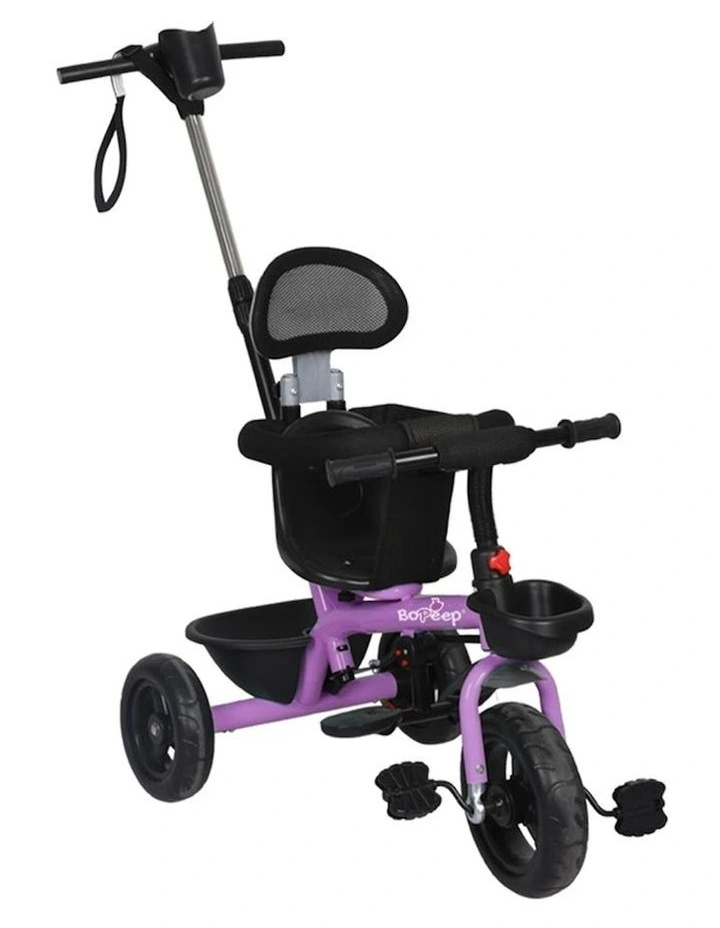 Baby Walker Tricycle Ride On in Purple