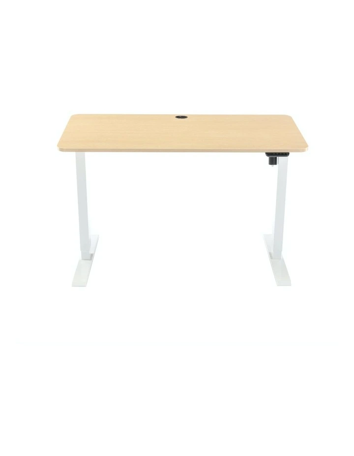 1.2m Electric Sit and Stand Desk with USB Charging Port in Natural