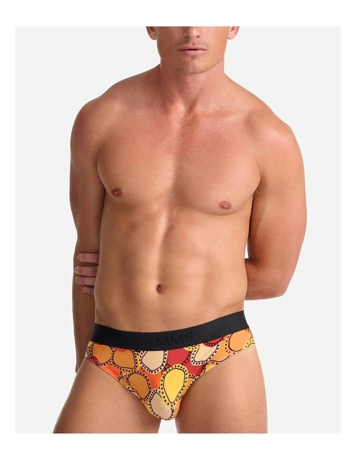 Gali Giba-Duran Brief in Multi