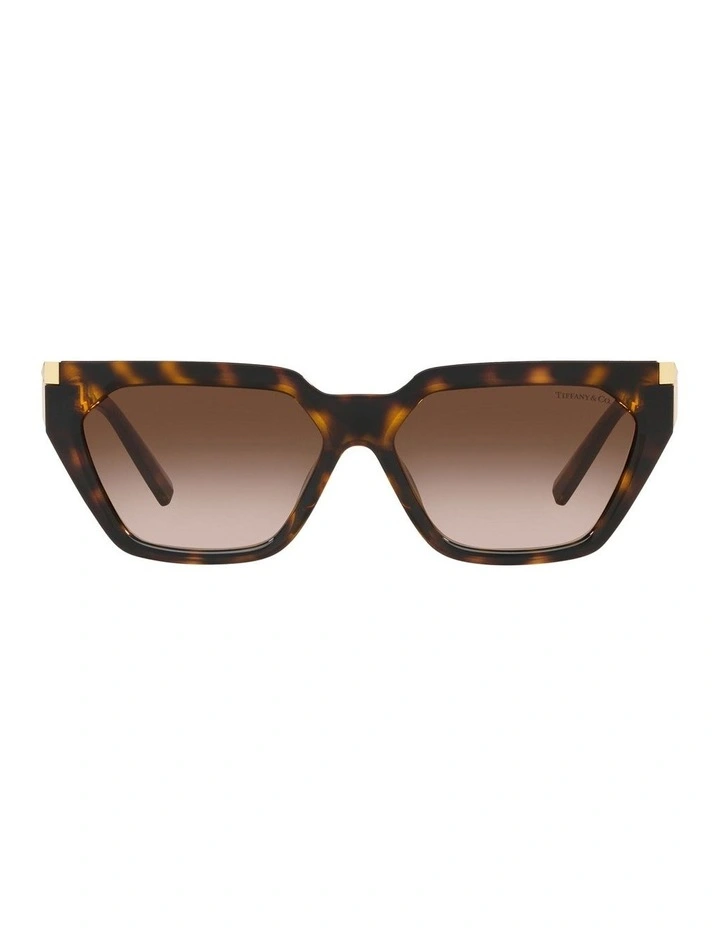 TF4205U Sunglasses in Tortoise