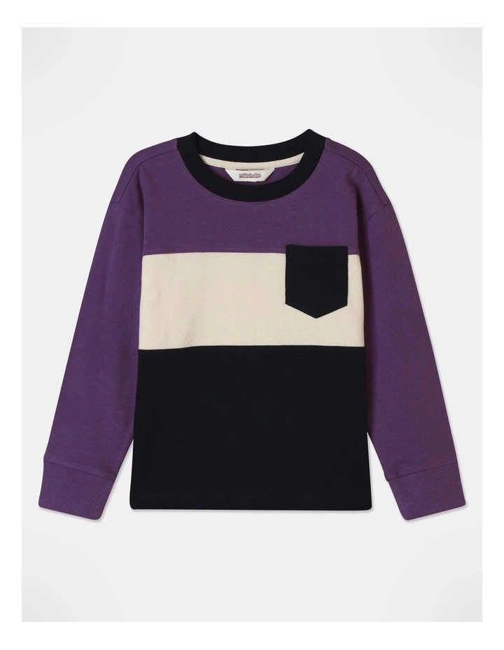 Long Sleeve Splice Tee in Purple