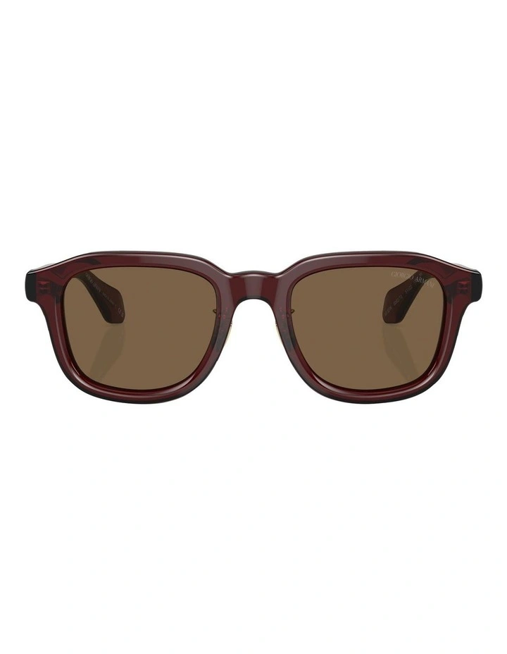 AR8206 Sunglasses in Brown