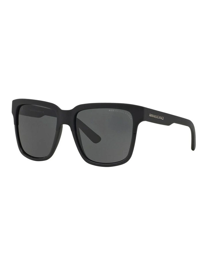 AX4026S Brown Sunglasses