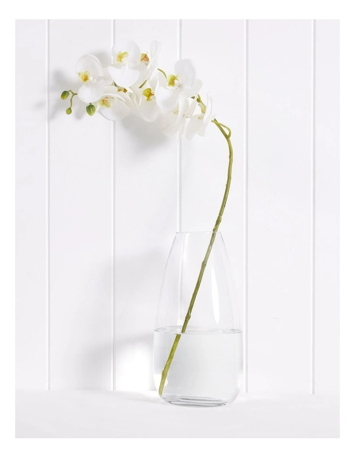 Essential Glass Teardrop Vase Large 25cm in Clear