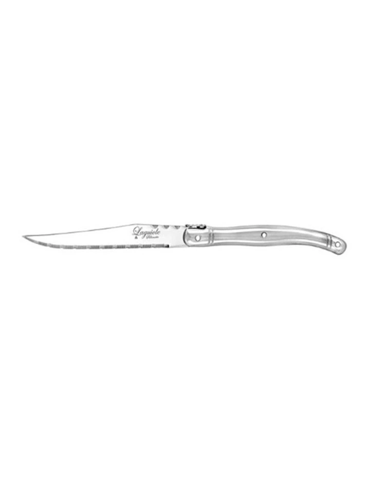 Stainless Steel Steak Knife Set 23.5cm 12 Piece in Silver