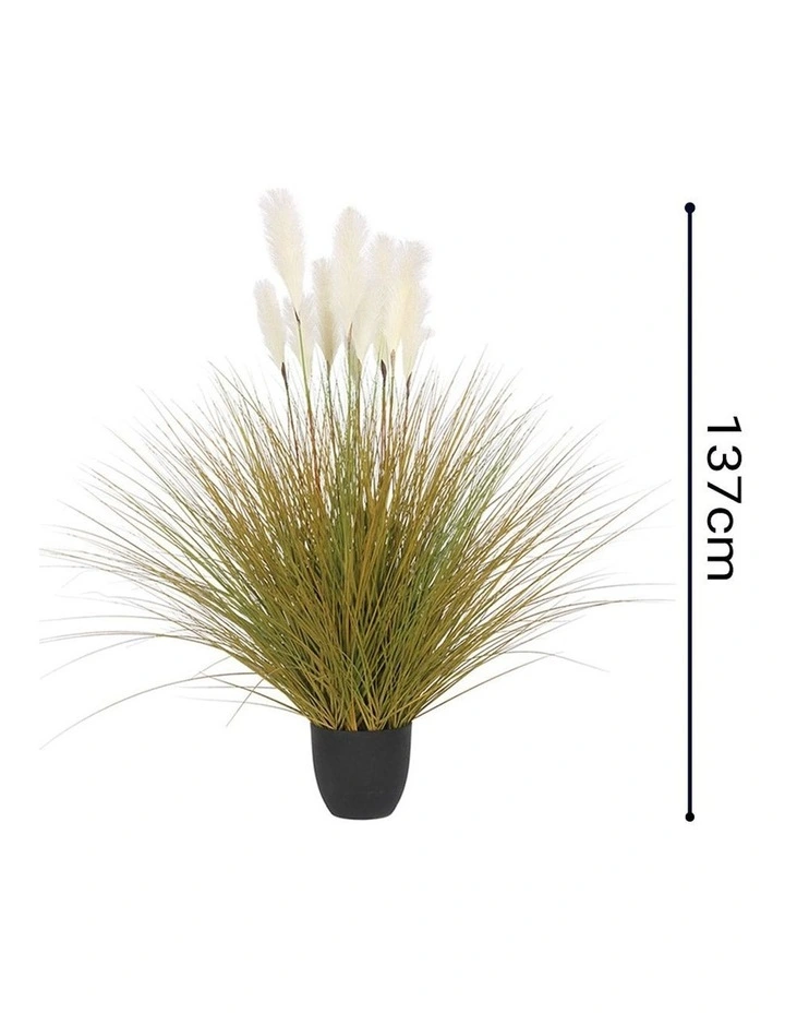 Potted Bulrush Grass Artificial Plant 137cm in Multi