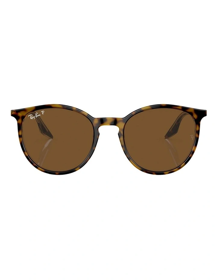 Polarised RB2204 Sunglasses in Brown