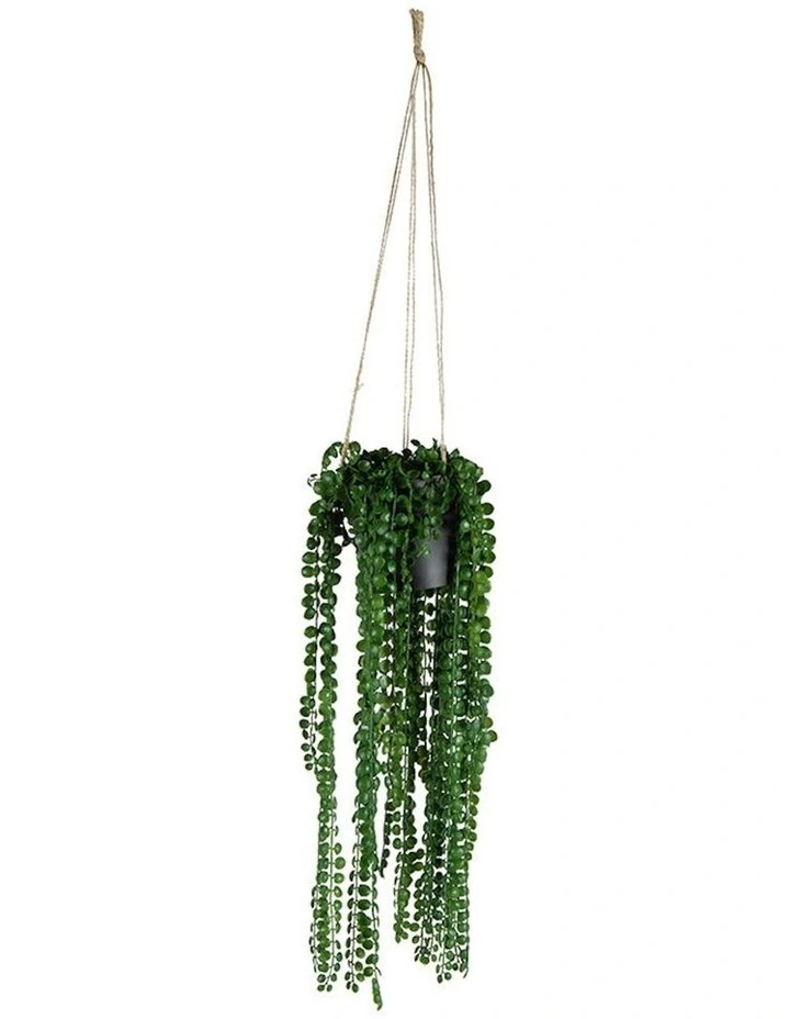 Artificial Coin-Leaf Peperomia Hanging in Green