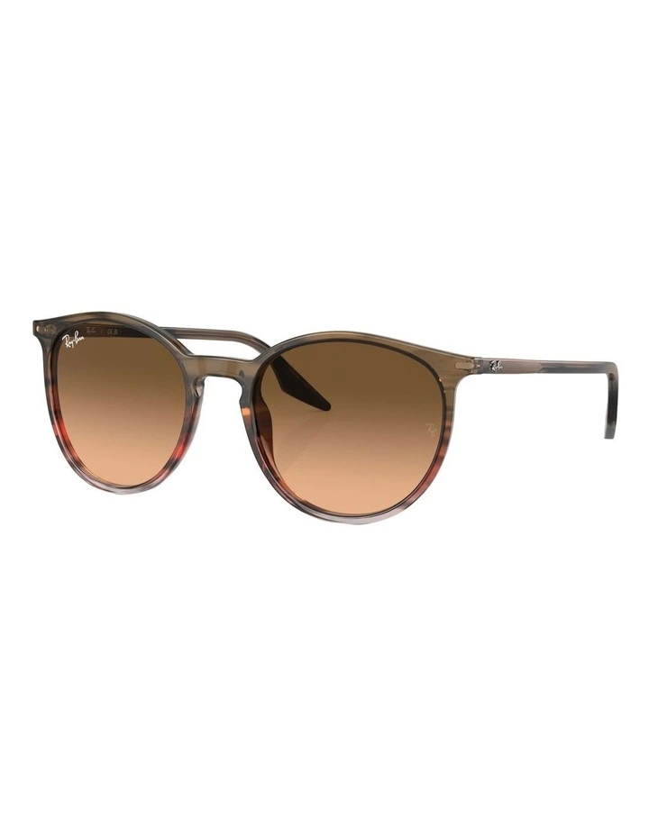 RB2204 Sunglasses in Brown