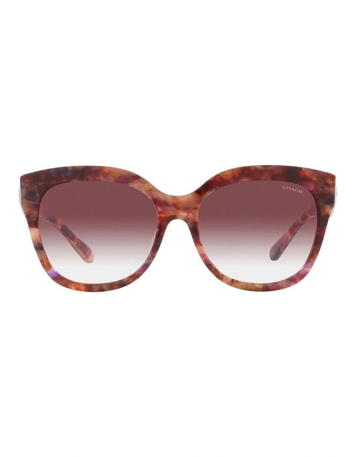 Tortoise L1083 Sunglasses in Brown