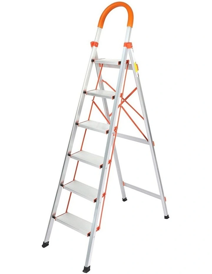 6 Step Ladder in Silver