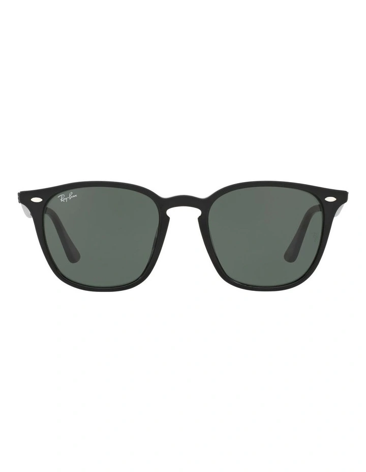 Black RB4258F Sunglasses