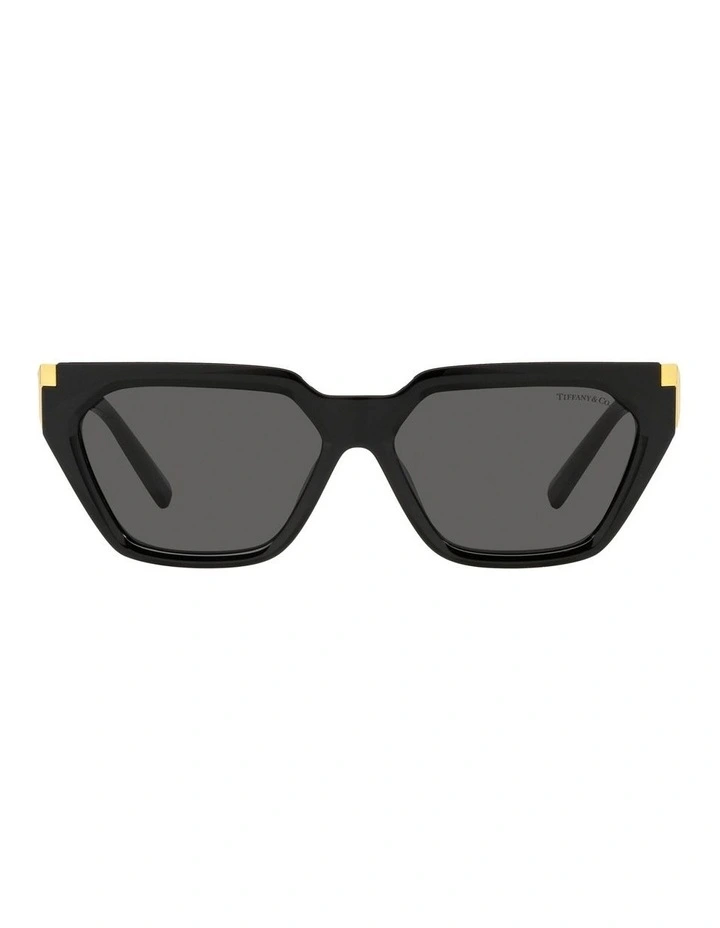 TF4205U Sunglasses in Black