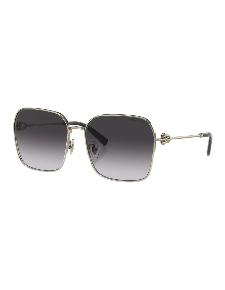 TF3093D Sunglasses in Gold