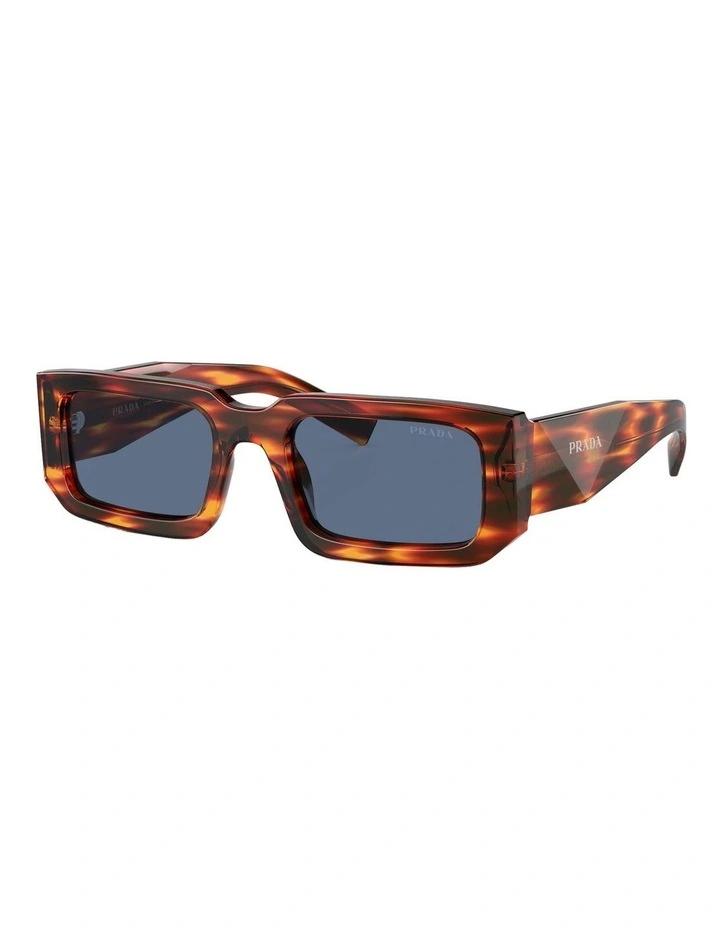 PR 06YS Sunglasses in Multicolor