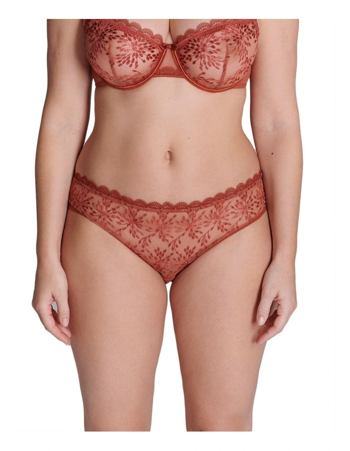 Singuliere Bikini Brief in Sienna