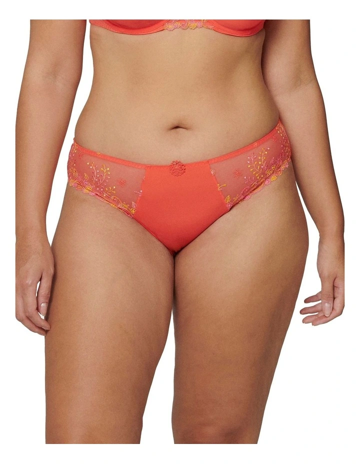Delice Bikini Brief in Orange