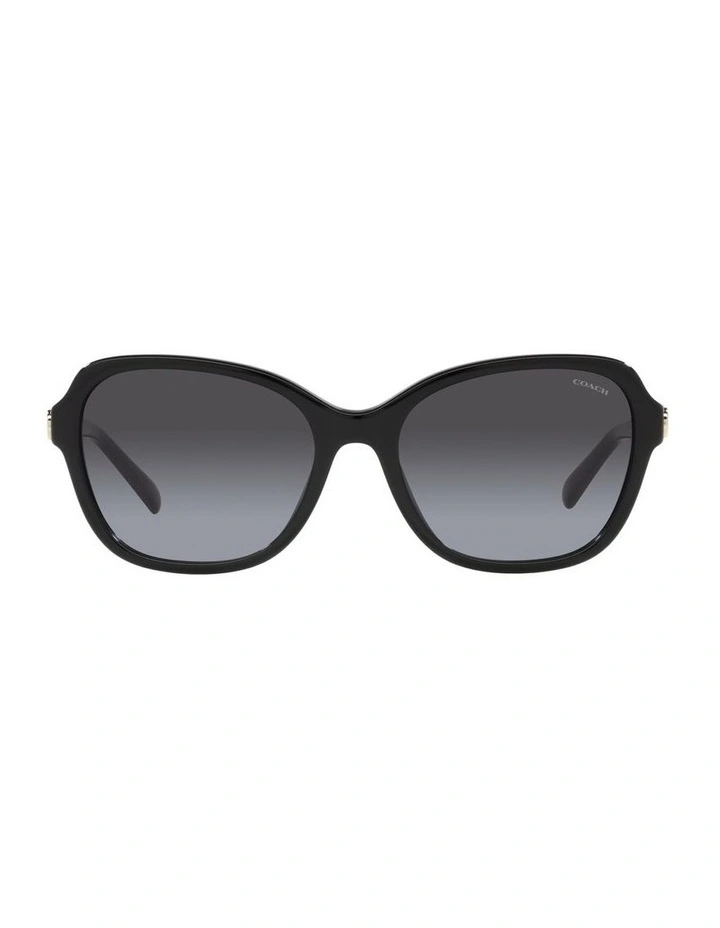 CD481 Sunglasses in Black