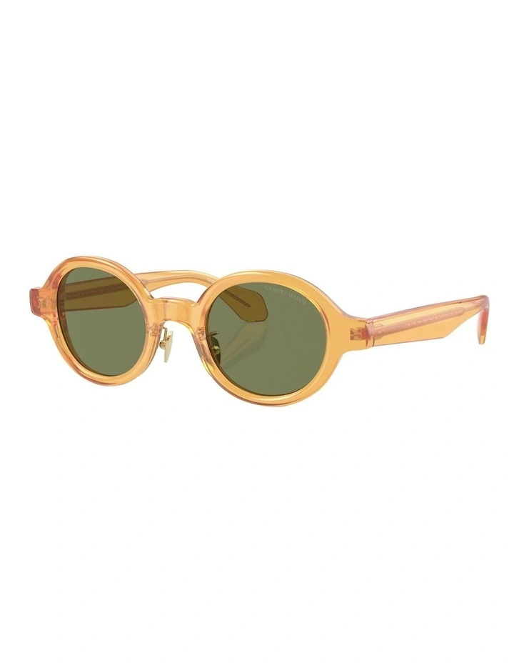 AR8205 Sunglasses in Gold
