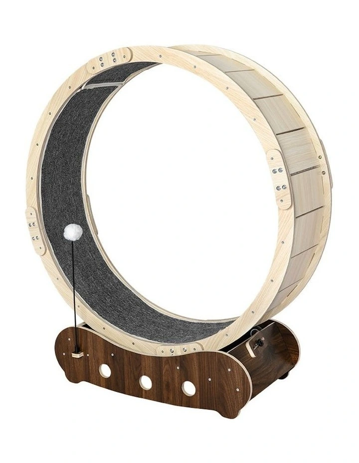 Cat Exercise Wheel 50kg in Multi