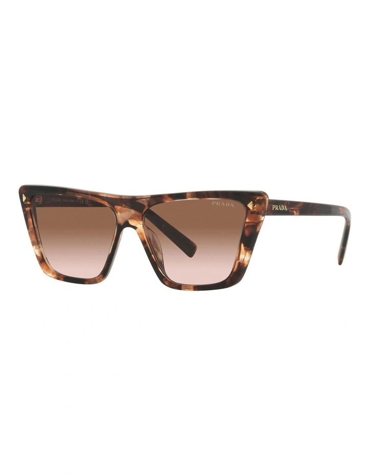 PR 21ZS Tortoise Sunglasses in Brown
