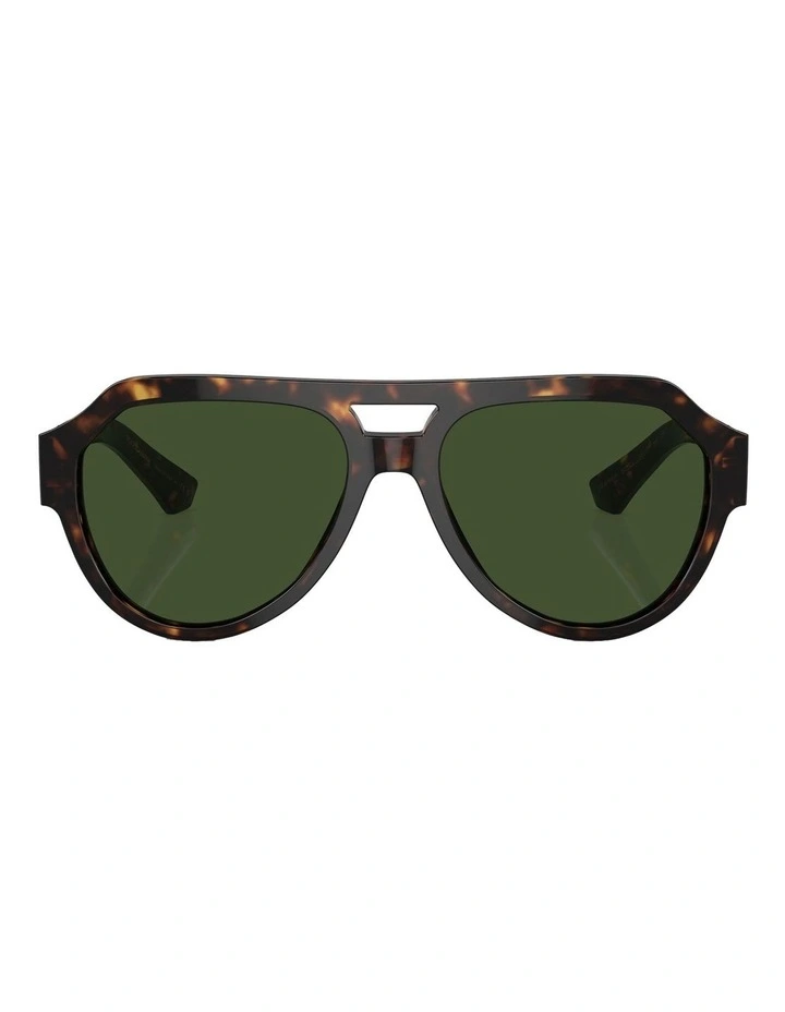 DG4466F Sunglasses in Tortoise