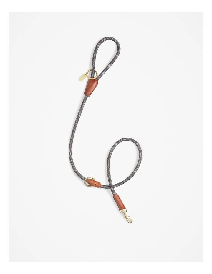 Alfie Recycled Polyester Large Pet Lead in Lake Grey