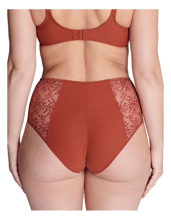 Singuliere Culotte Brief in Sienna