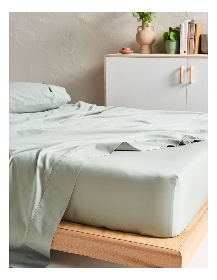 Augusta 500TC Fitted Sheets in Green Gum