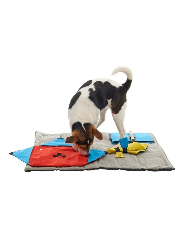 Buster Canvas Activity Snuffle Mat in Multi