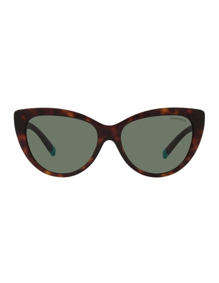 0TF4196 Sunglasses in Havana