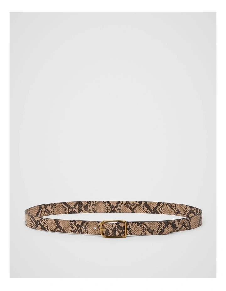Lennox Belt in Multi