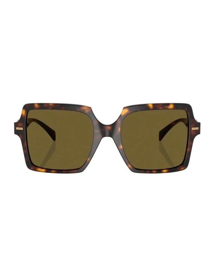 VE4441 Sunglasses in Tortoise