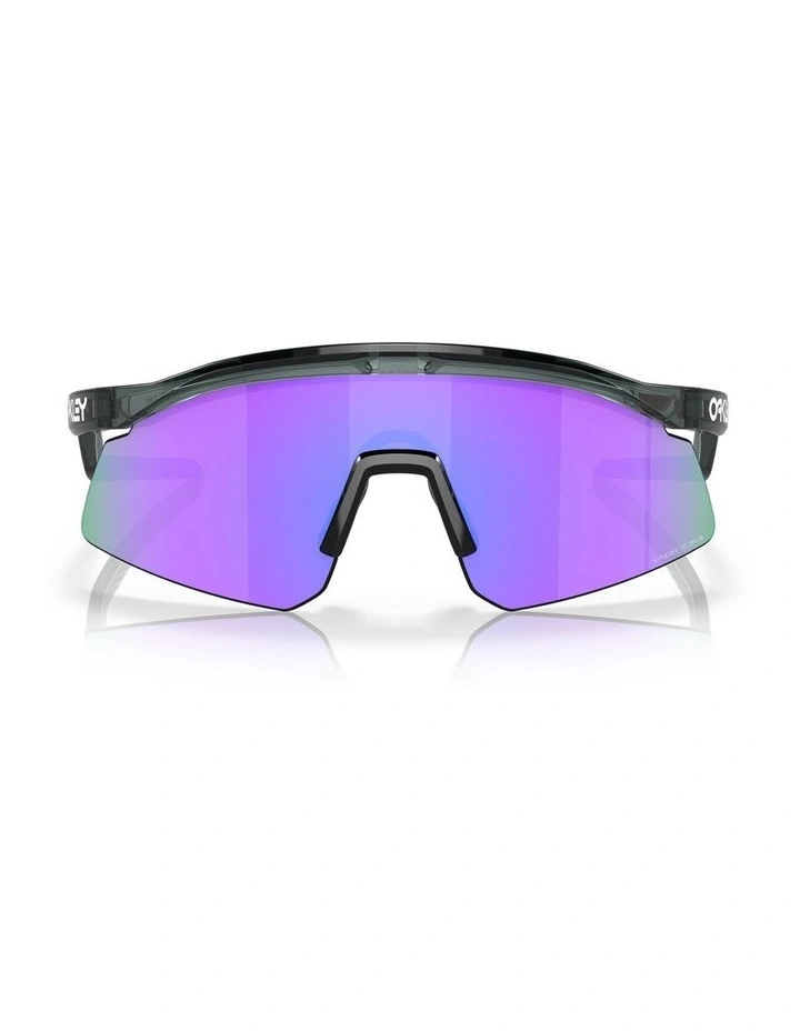 Hydra Sunglasses in Crystal Black