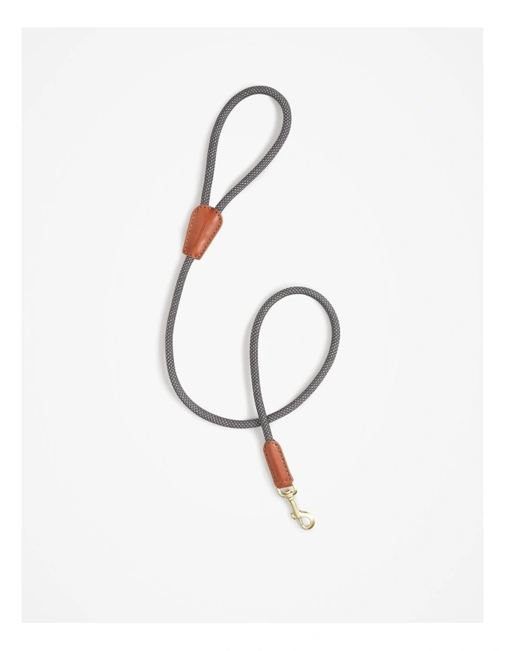 Alfie Recycled Polyester Small Pet Lead in Lake Grey