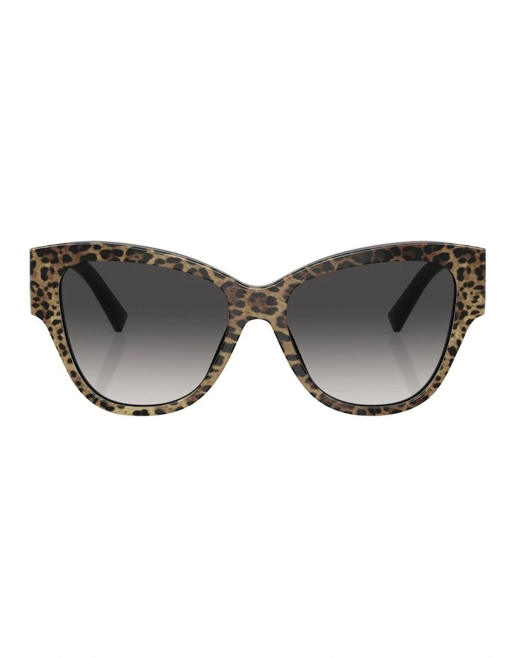 DG4449 Sunglasses in Black
