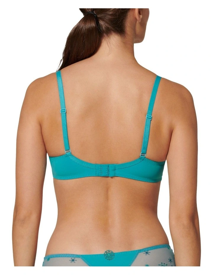Delice Full Cup Plunge Bra in Blue