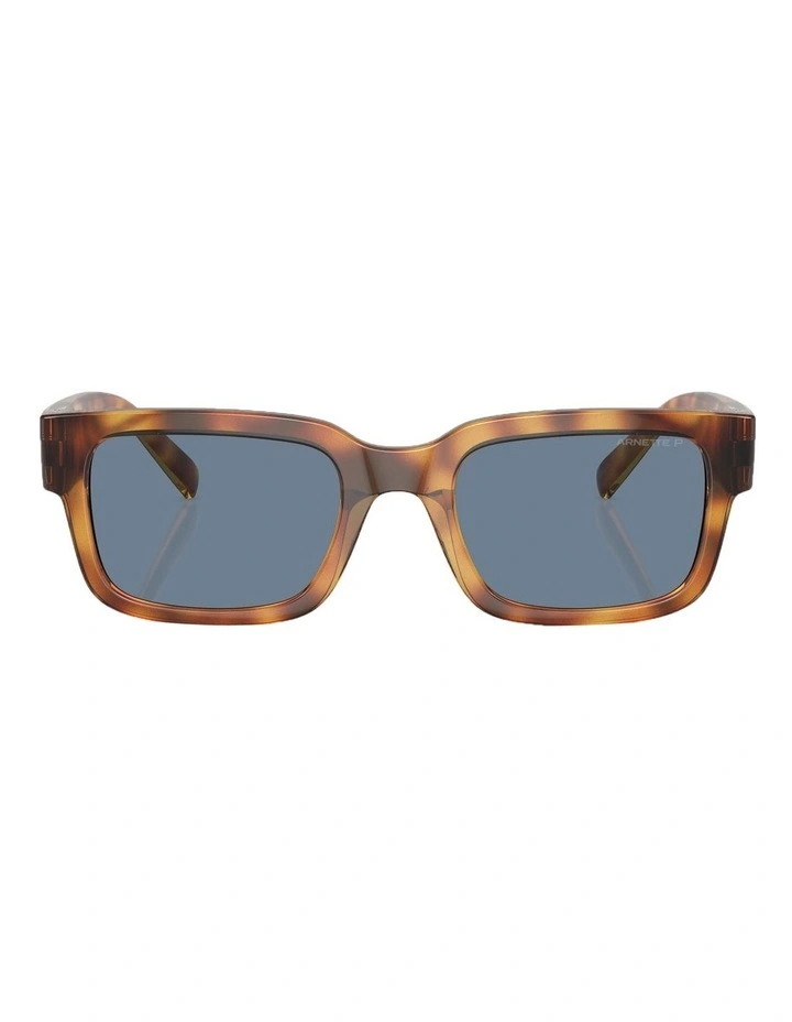 Bigflip Polarised Sunglasses in Brown