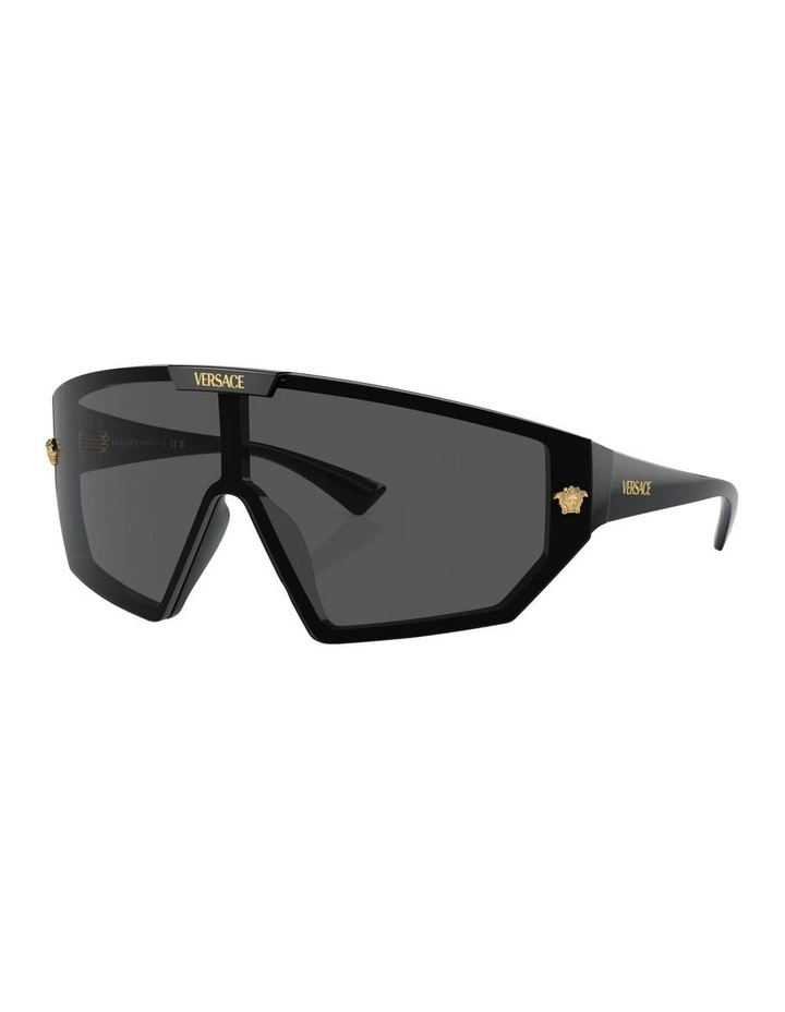 VE4461 Sunglasses in Black