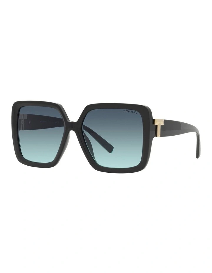 TF4206U Sunglasses in Black