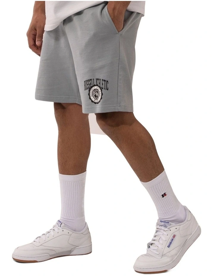 Big Seal Shorts in Concrete