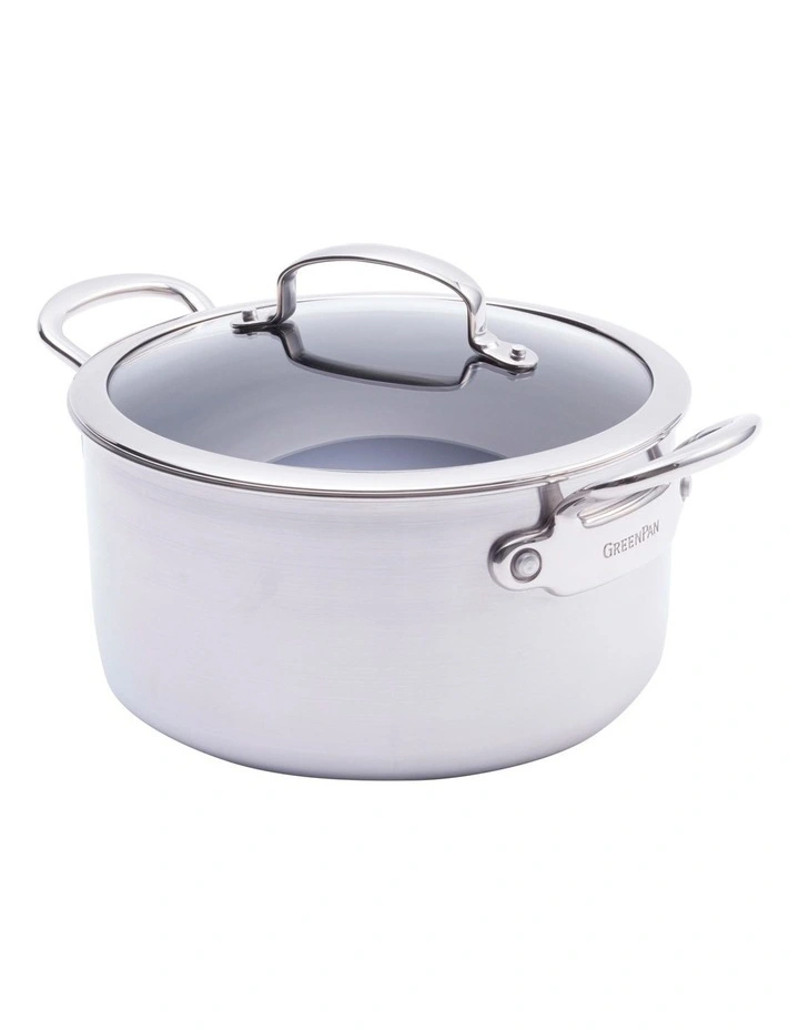Premiere 24cm Stainless Steel Covered Stockpot