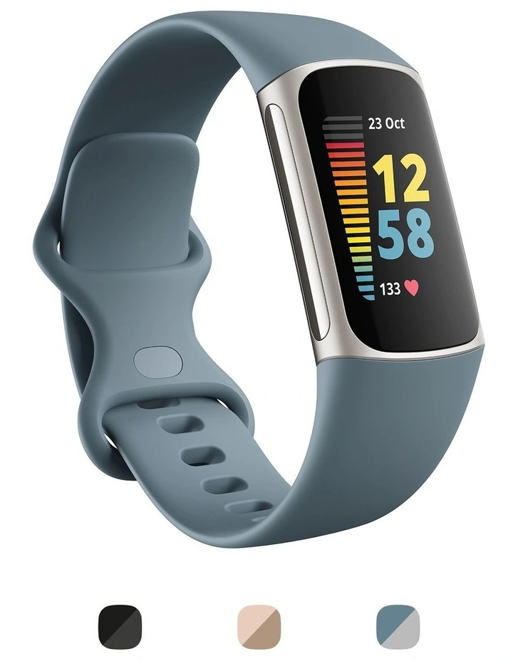 Charge 5 Steel Blue/Platinum Stainless Steel